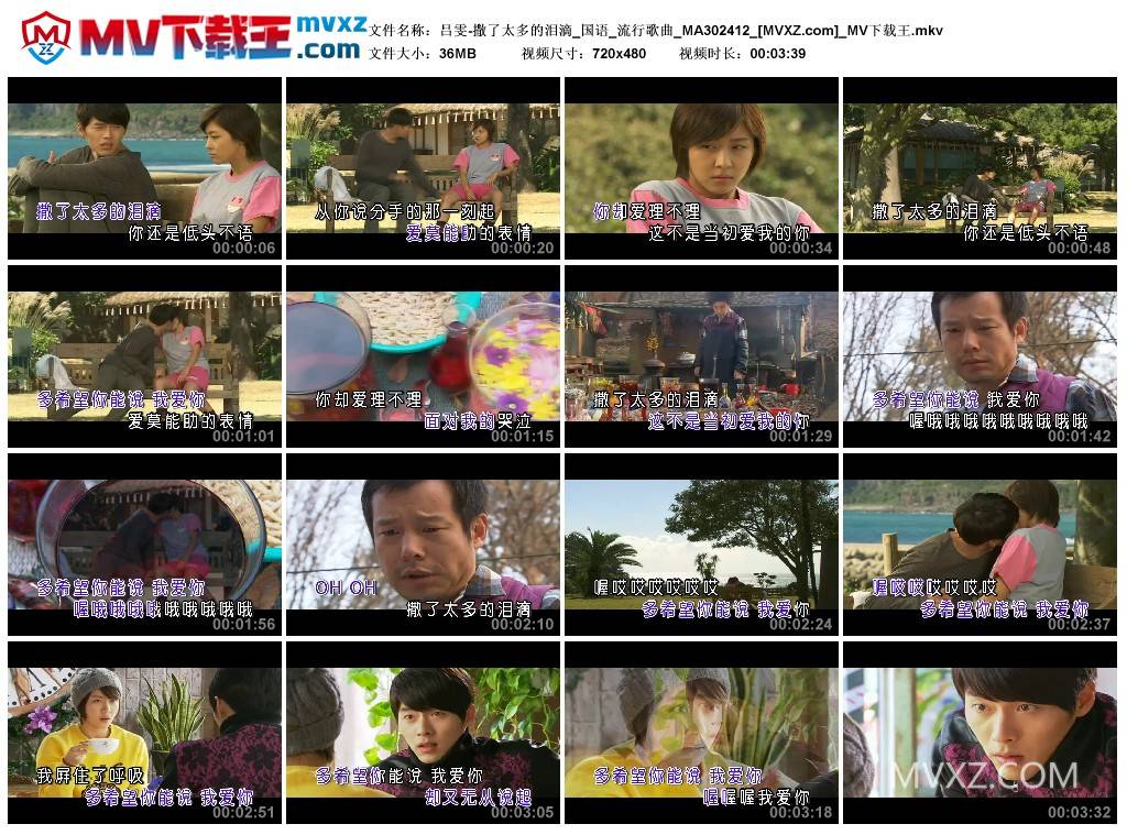 吕雯-撒了太多的泪滴_国语_流行歌曲_MA302412